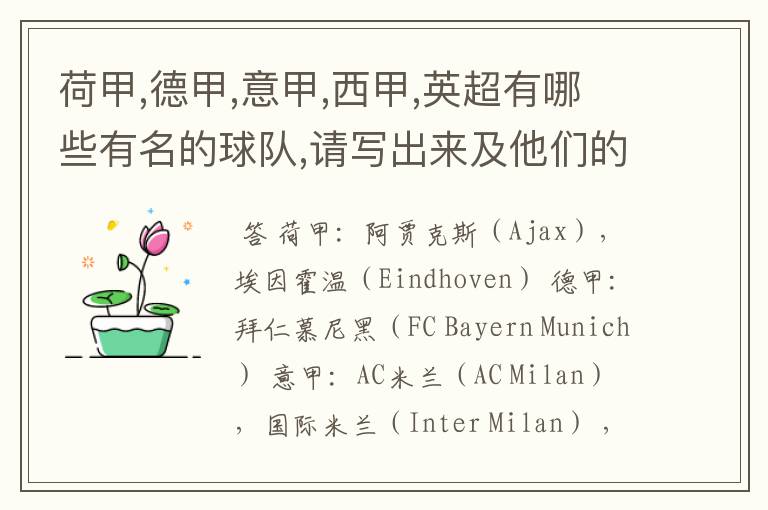 荷甲,德甲,意甲,西甲,英超有哪些有名的球队,请写出来及他们的英文名??