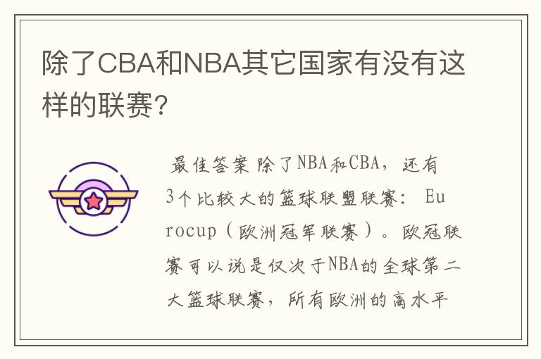 除了CBA和NBA其它国家有没有这样的联赛?