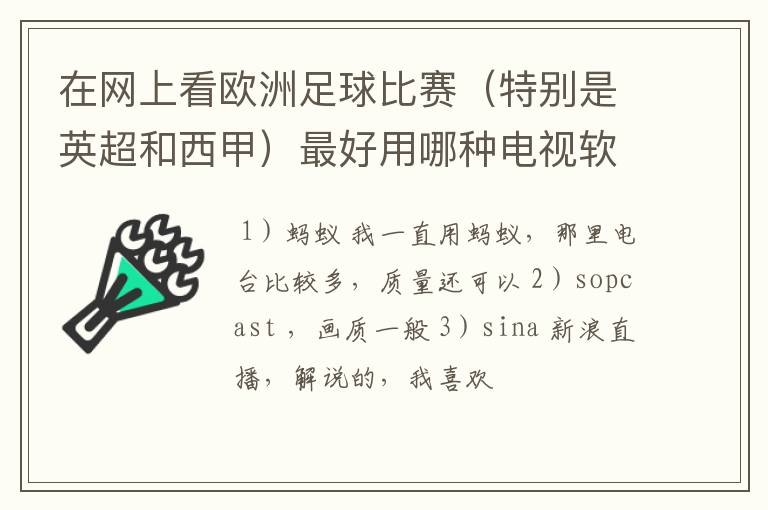 在网上看欧洲足球比赛（特别是英超和西甲）最好用哪种电视软件呢？