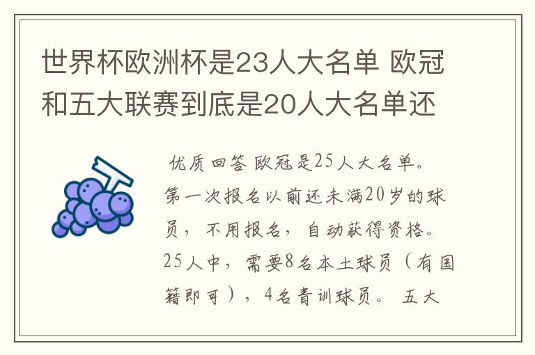 世界杯欧洲杯是23人大名单 欧冠和五大联赛到底是20人大名单还是18人大名单