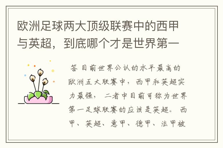 欧洲足球两大顶级联赛中的西甲与英超，到底哪个才是世界第一足球联赛?