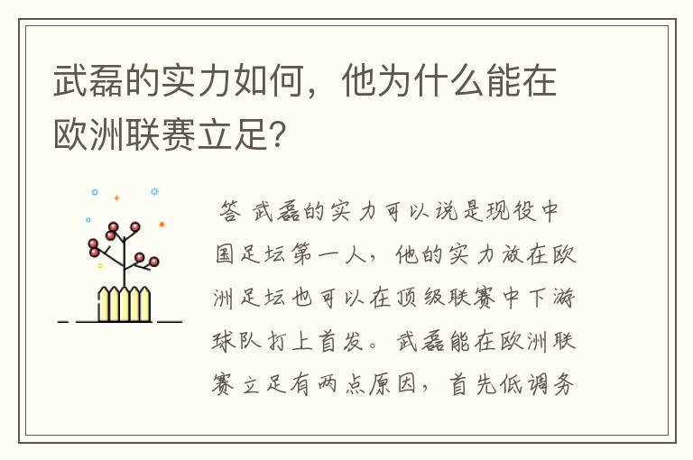 武磊的实力如何，他为什么能在欧洲联赛立足？