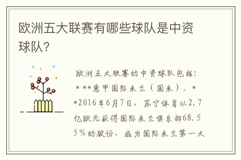 欧洲五大联赛有哪些球队是中资球队？