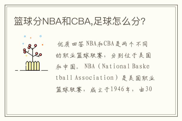 篮球分NBA和CBA,足球怎么分?