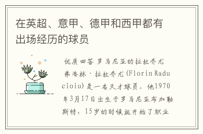 在英超、意甲、德甲和西甲都有出场经历的球员