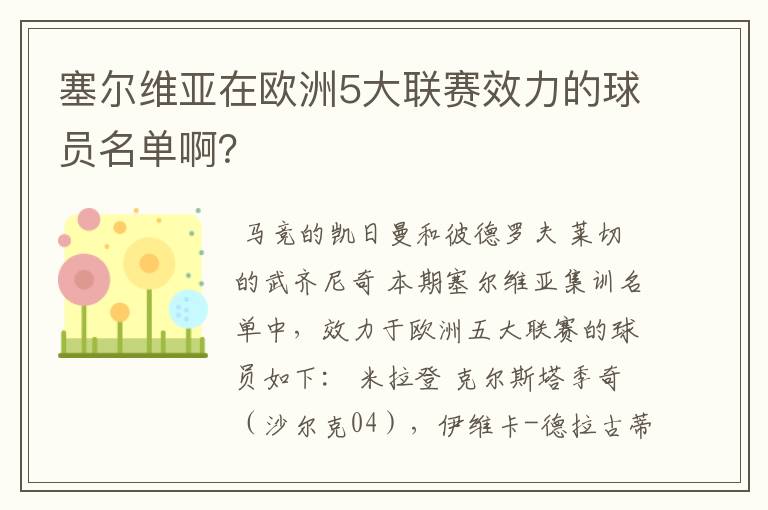 塞尔维亚在欧洲5大联赛效力的球员名单啊？