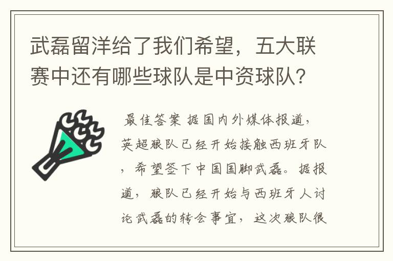 武磊留洋给了我们希望，五大联赛中还有哪些球队是中资球队？