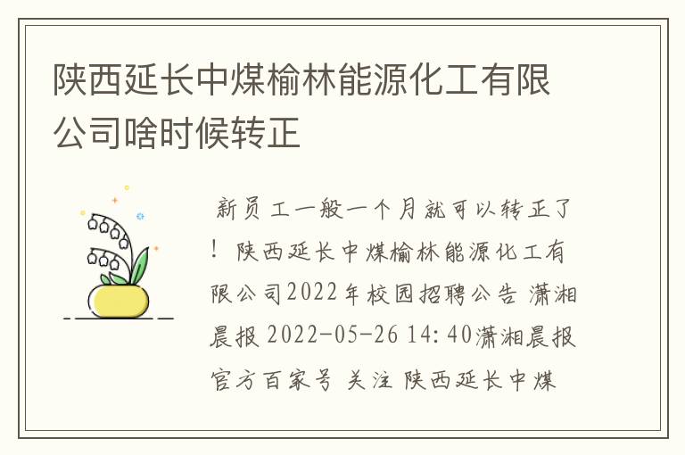 陕西延长中煤榆林能源化工有限公司啥时候转正