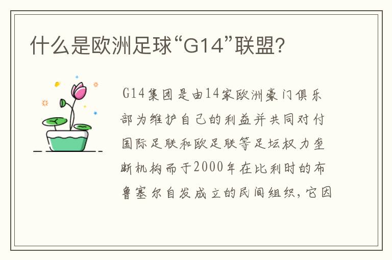 什么是欧洲足球“G14”联盟？