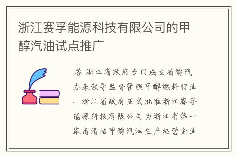 浙江赛孚能源科技有限公司的甲醇汽油试点推广