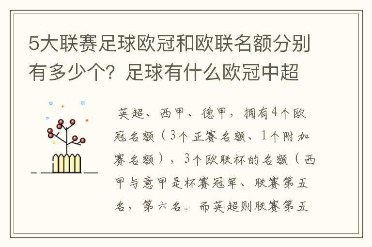 5大联赛足球欧冠和欧联名额分别有多少个？足球有什么欧冠中超还