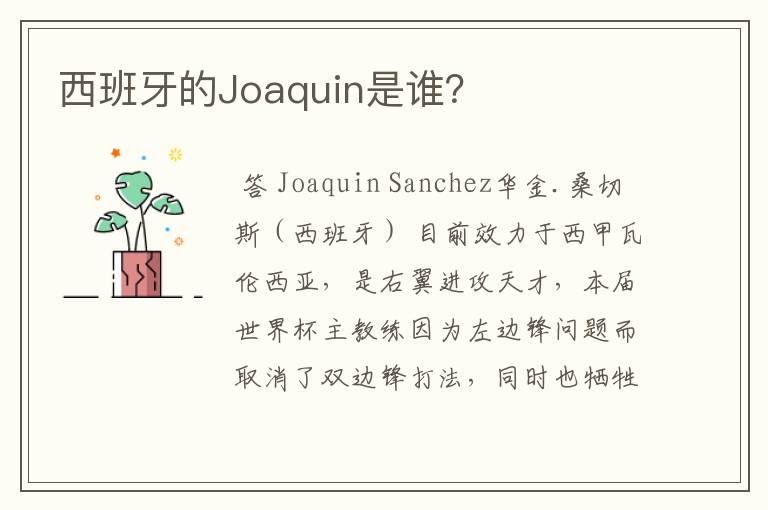 西班牙的Joaquin是谁？