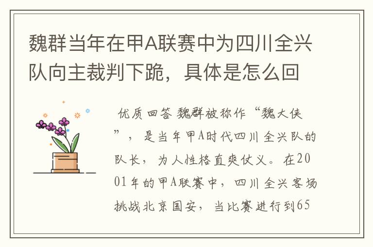 魏群当年在甲A联赛中为四川全兴队向主裁判下跪，具体是怎么回事？