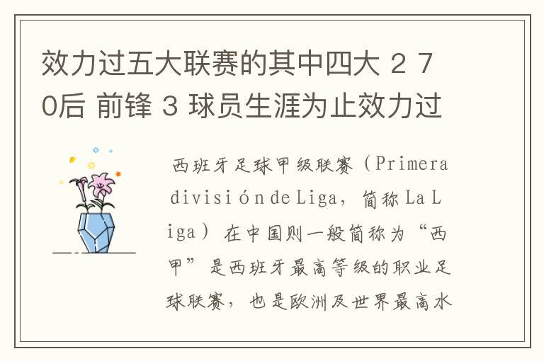 效力过五大联赛的其中四大 2 70后 前锋 3 球员生涯为止效力过8支球队 4 其中一联赛拿过联赛冠军 5 欧冠冠