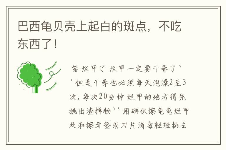 巴西龟贝壳上起白的斑点，不吃东西了！