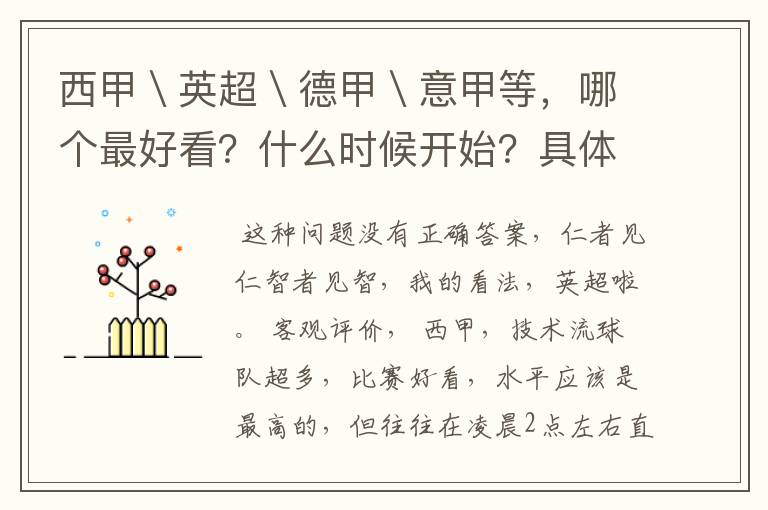 西甲＼英超＼德甲＼意甲等，哪个最好看？什么时候开始？具体时间？