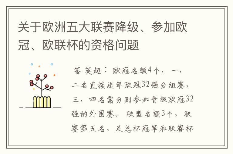 关于欧洲五大联赛降级、参加欧冠、欧联杯的资格问题