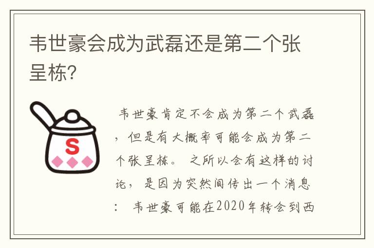 韦世豪会成为武磊还是第二个张呈栋？