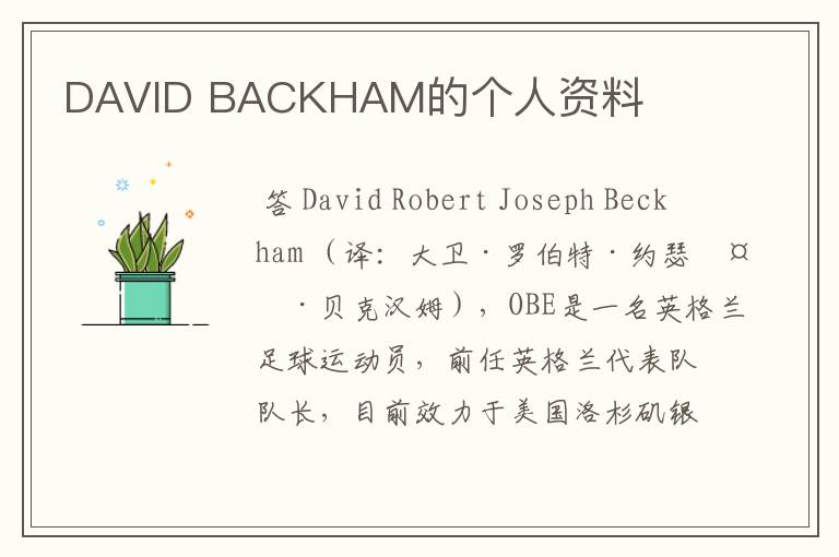 DAVID BACKHAM的个人资料