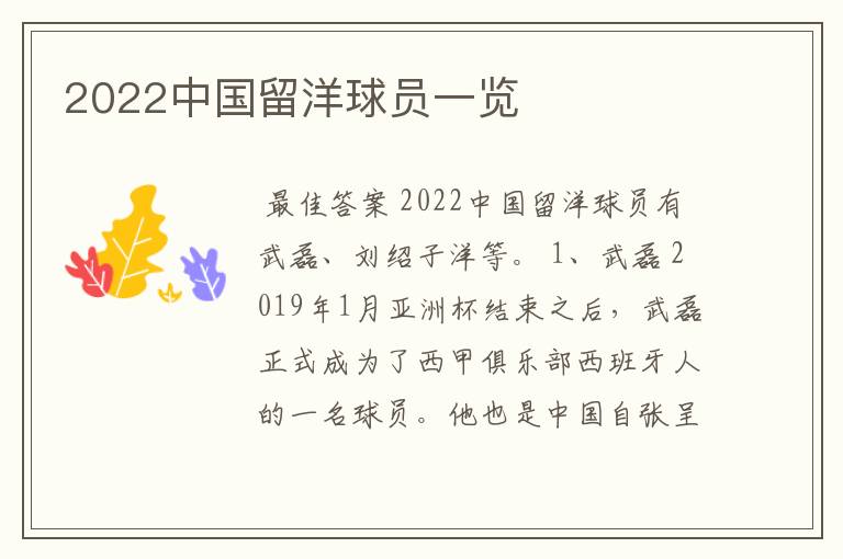 2022中国留洋球员一览