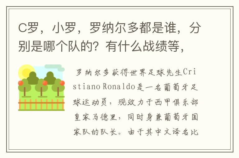 C罗，小罗，罗纳尔多都是谁，分别是哪个队的？有什么战绩等，尽量具体点吧!