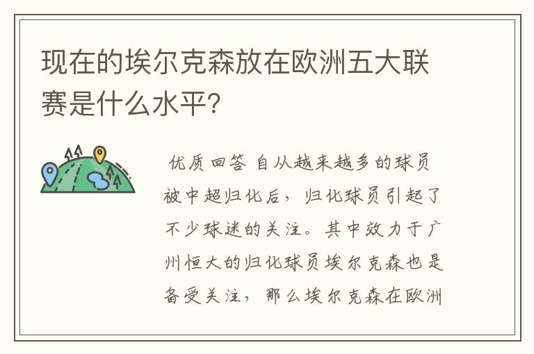 现在的埃尔克森放在欧洲五大联赛是什么水平？