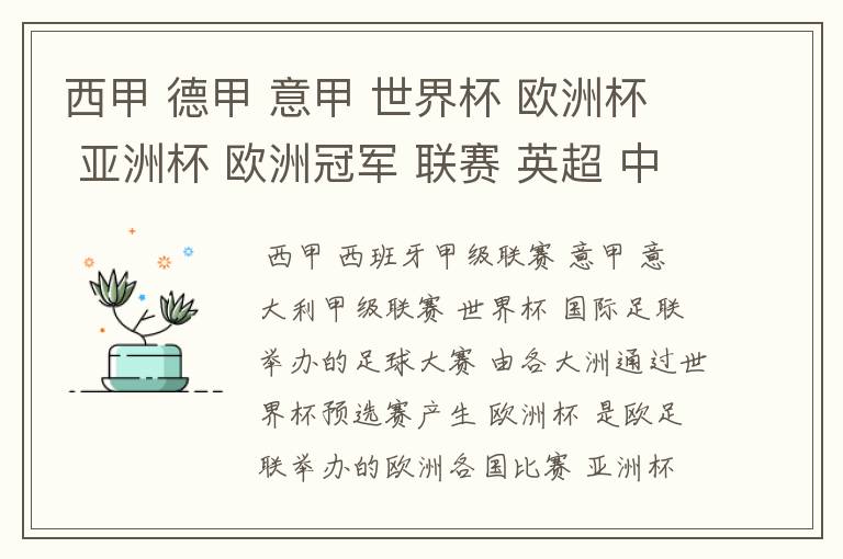 西甲 德甲 意甲 世界杯 欧洲杯 亚洲杯 欧洲冠军 联赛 英超 中超  分别是什么意思啊？