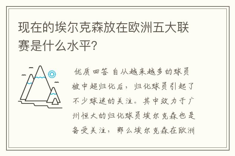 现在的埃尔克森放在欧洲五大联赛是什么水平？