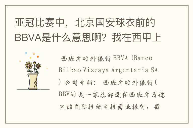 亚冠比赛中，北京国安球衣前的BBVA是什么意思啊？我在西甲上好像也见到过