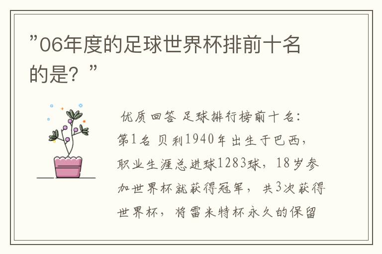 ”06年度的足球世界杯排前十名的是？”