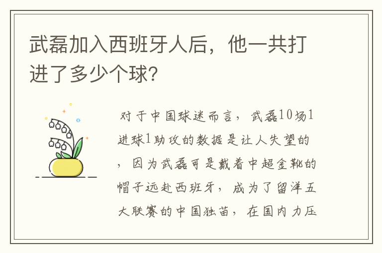 武磊加入西班牙人后，他一共打进了多少个球？