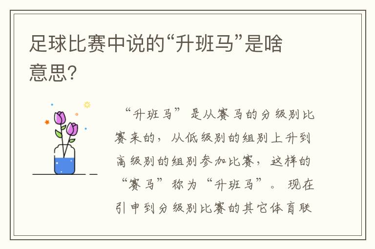 足球比赛中说的“升班马”是啥意思？