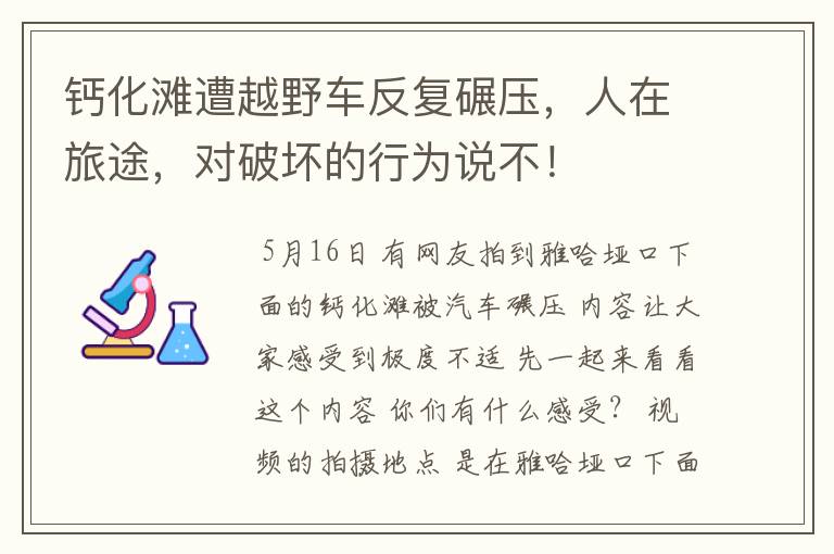 钙化滩遭越野车反复碾压，人在旅途，对破坏的行为说不！