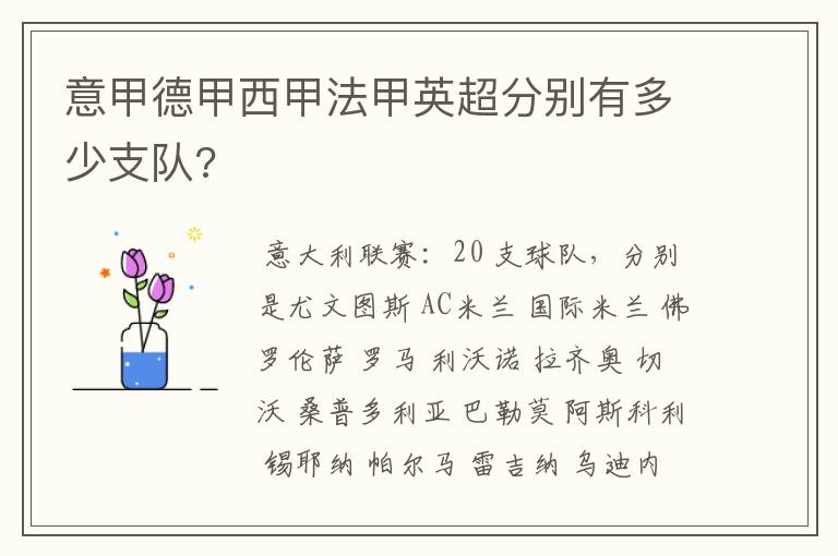 意甲德甲西甲法甲英超分别有多少支队?