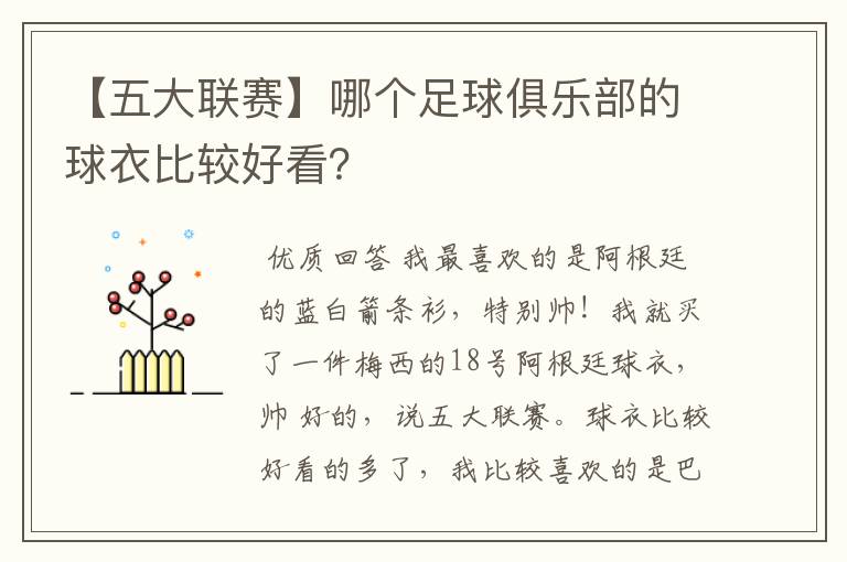 【五大联赛】哪个足球俱乐部的球衣比较好看？