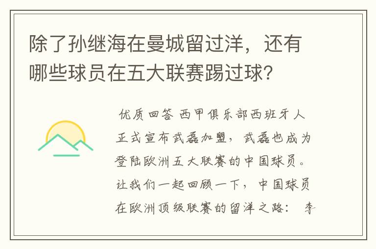 除了孙继海在曼城留过洋，还有哪些球员在五大联赛踢过球？