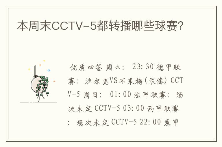 本周末CCTV-5都转播哪些球赛？