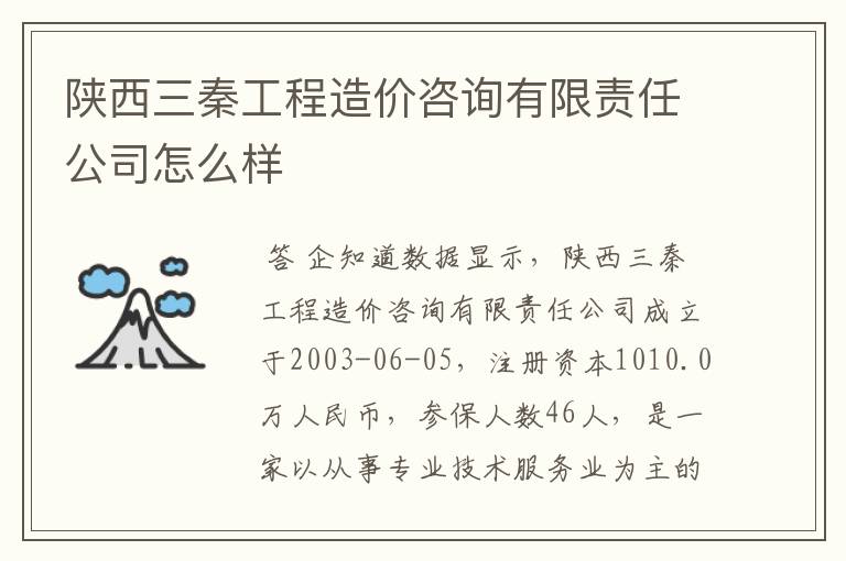 陕西三秦工程造价咨询有限责任公司怎么样