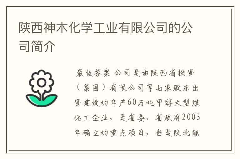 陕西神木化学工业有限公司的公司简介