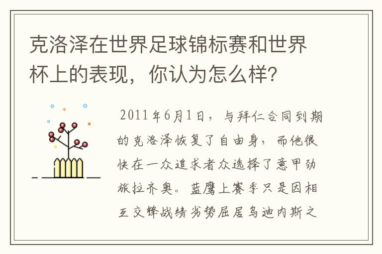 克洛泽在世界足球锦标赛和世界杯上的表现，你认为怎么样？