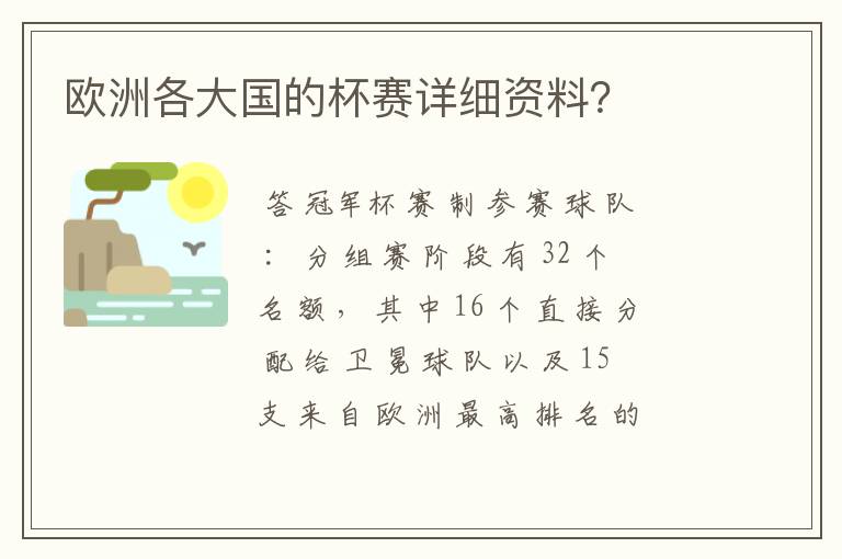 欧洲各大国的杯赛详细资料？