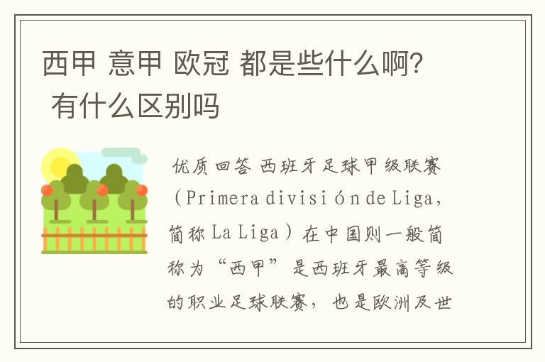 西甲 意甲 欧冠 都是些什么啊？ 有什么区别吗