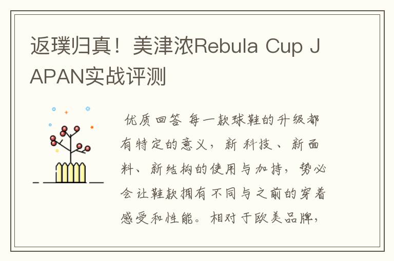 返璞归真！美津浓Rebula Cup JAPAN实战评测