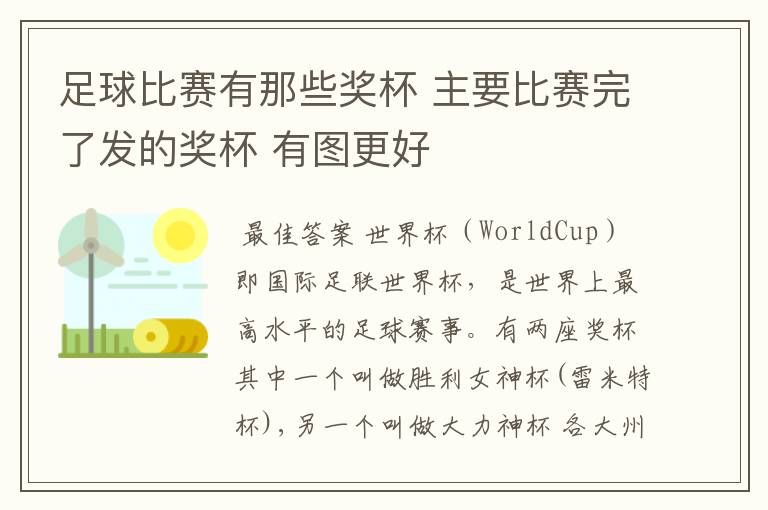 足球比赛有那些奖杯 主要比赛完了发的奖杯 有图更好