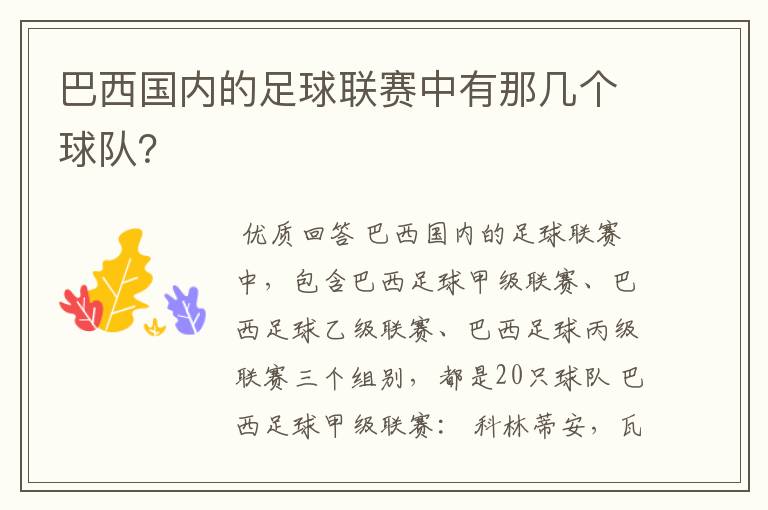 巴西国内的足球联赛中有那几个球队？