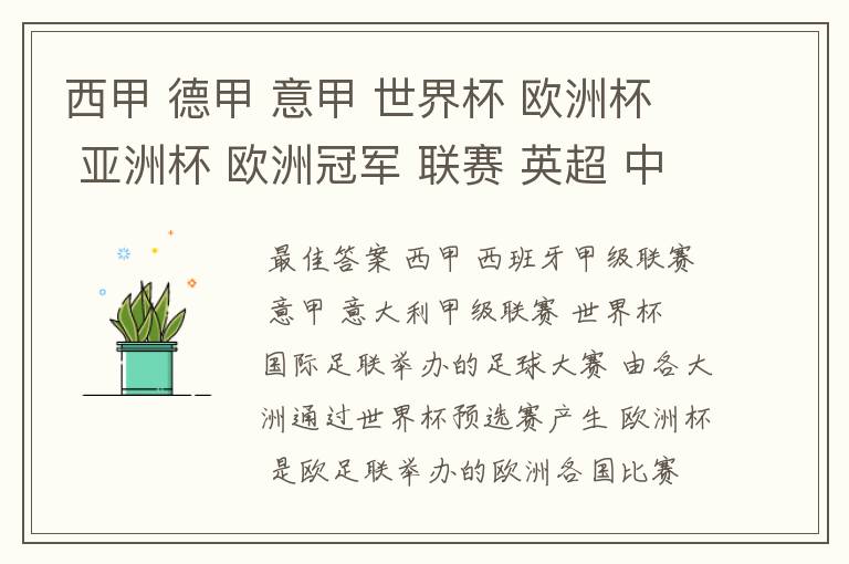 西甲 德甲 意甲 世界杯 欧洲杯 亚洲杯 欧洲冠军 联赛 英超 中超  分别是什么意思啊？