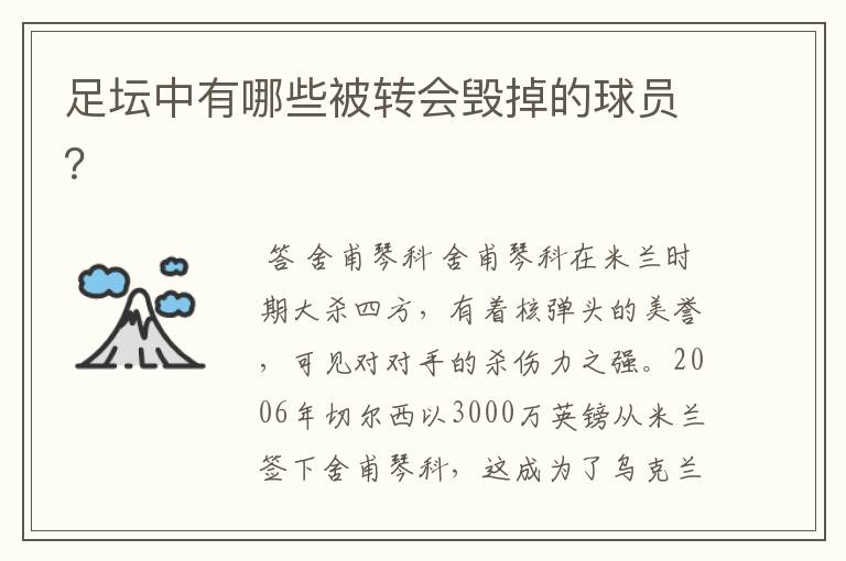 足坛中有哪些被转会毁掉的球员？