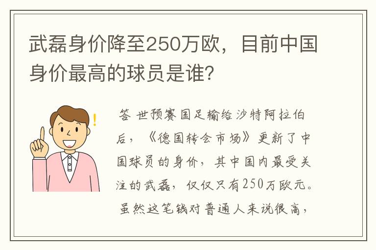 武磊身价降至250万欧，目前中国身价最高的球员是谁？