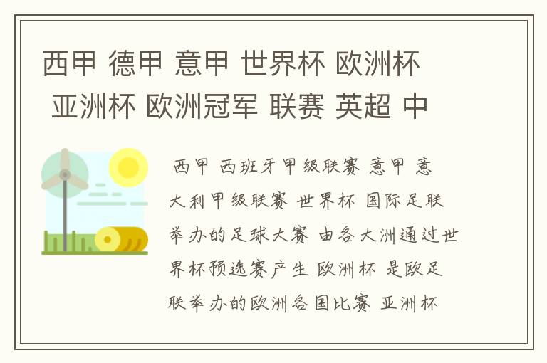 西甲 德甲 意甲 世界杯 欧洲杯 亚洲杯 欧洲冠军 联赛 英超 中超  分别是什么意思啊？