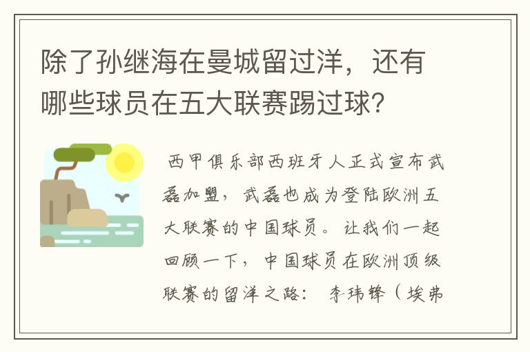 除了孙继海在曼城留过洋，还有哪些球员在五大联赛踢过球？